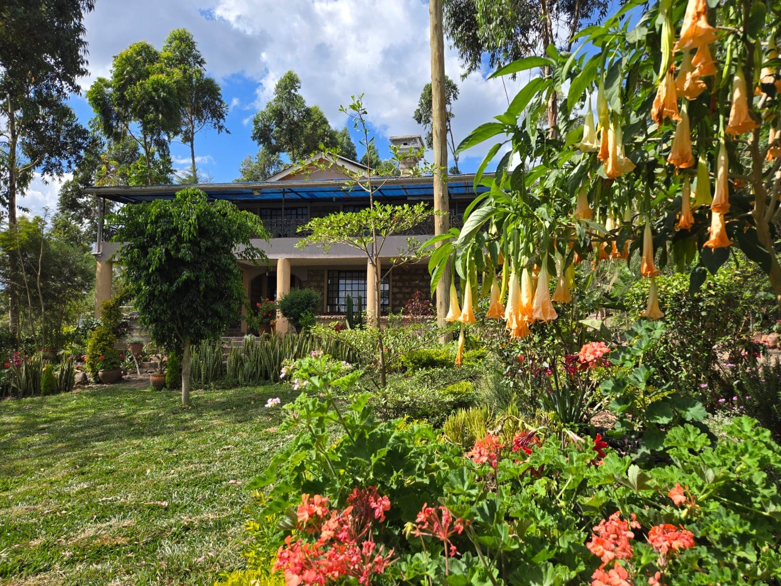 Main farmhouse with beautiful landscaping and orange trumpet flowers