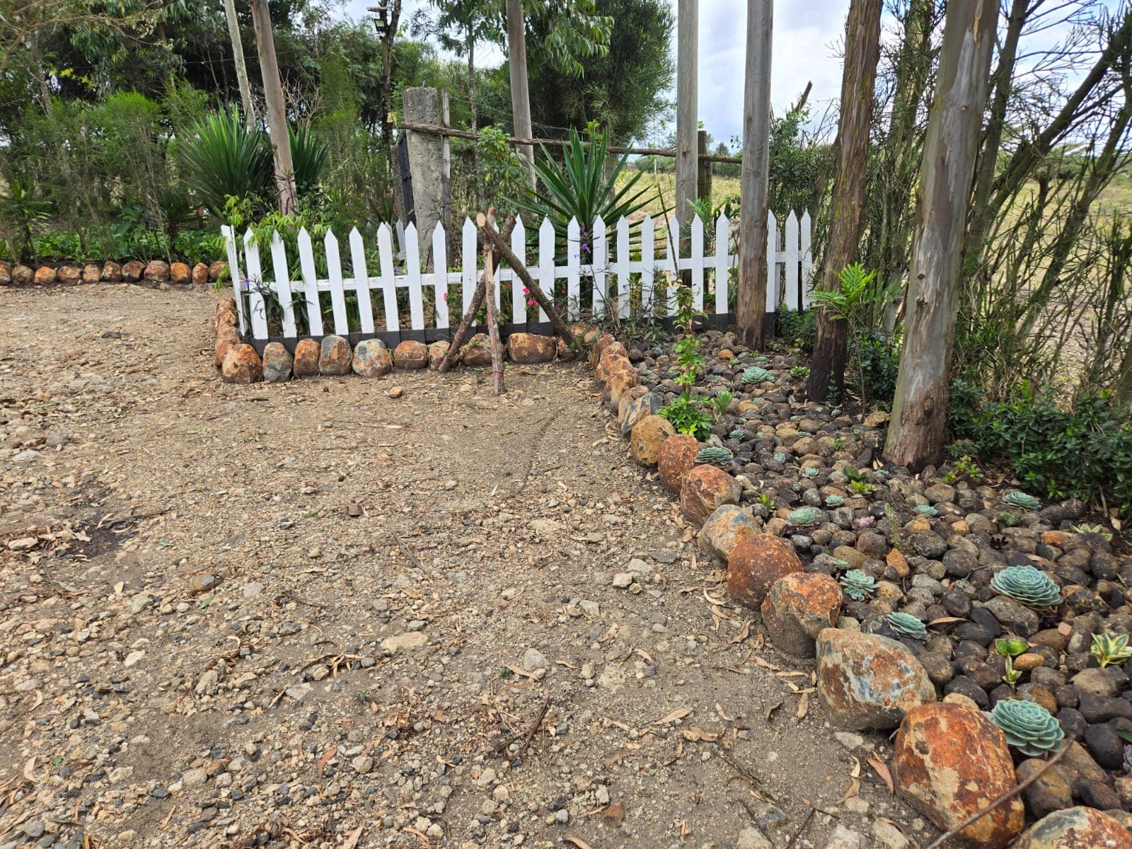 Flower Plants & Landscaping